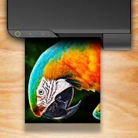 EPSON L11050 103 Mürekkep 5 Renk (Muadil)