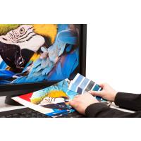 Epson 115 Mürekkep 100 ml Muadil - L8160 - L8180