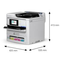 Baskistan Epson Karton Bardak Baskı Makinesi - EM-C800RDWF + Dolan Kartuş + 4x500 ml Mürekkep