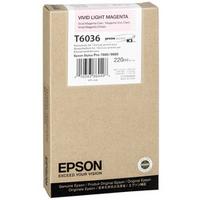 كارتوج Epson T6036 C13T603600 الأصلي